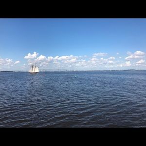 Meet your Posher, Caroline